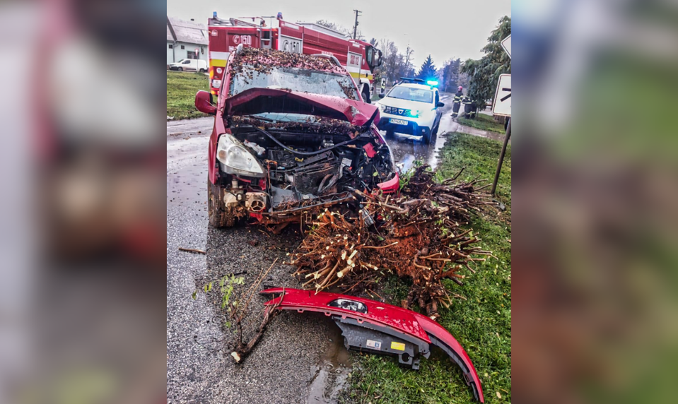 Vodič narazil čelne do stromu, nafúkal 3,06 promile