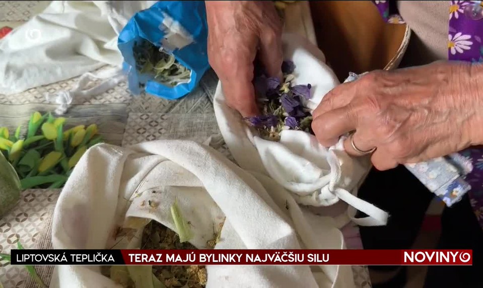 TERAZ MAJÚ BYLINKY NAJVÄČŠIU SILU