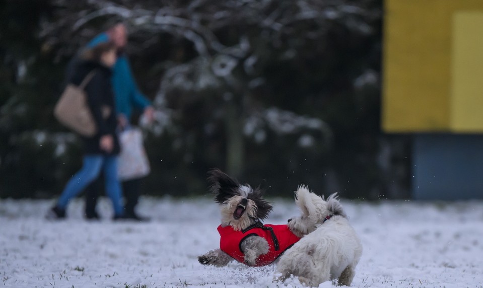 Čoskoro sa prebudíme do zasneženej krajiny. Zmena počasia prinesie aj náhly pokles teplôt