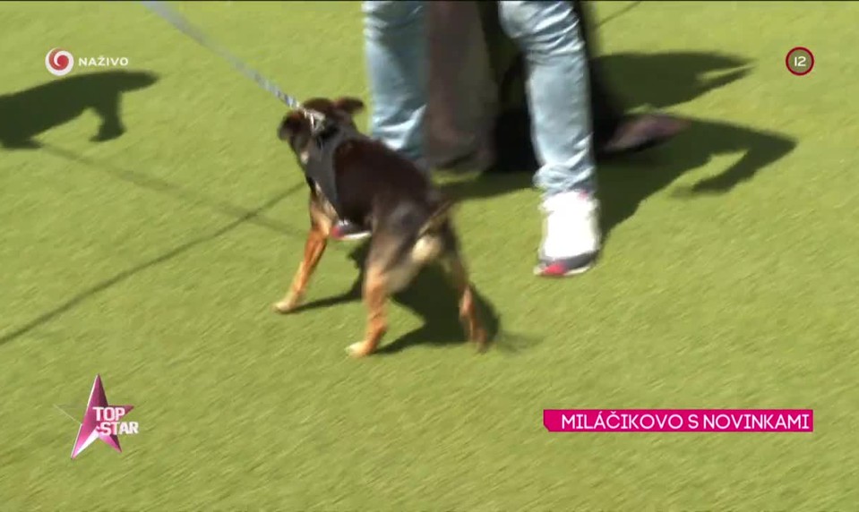 MILÁČIKOVO S NOVINKAMI