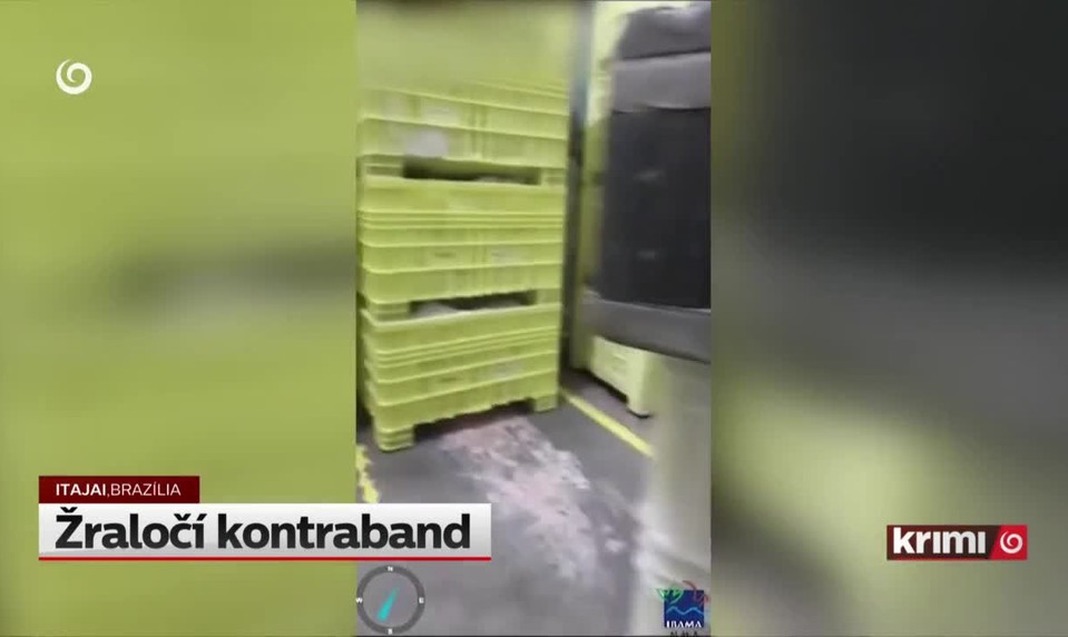 Žraločí kontraband