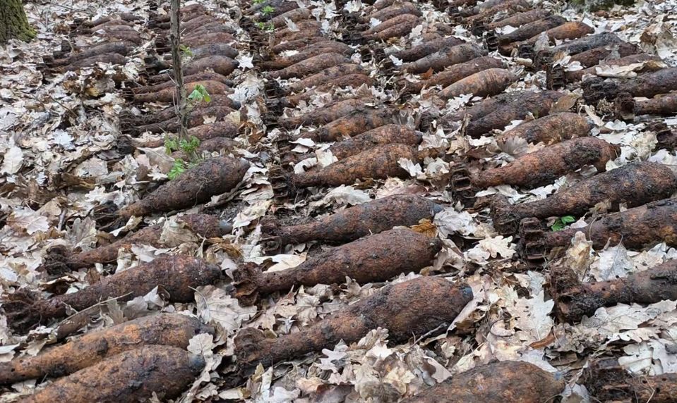 Pyrotechnici zasahovali hodiny: V lese našli 180 funkčných mín