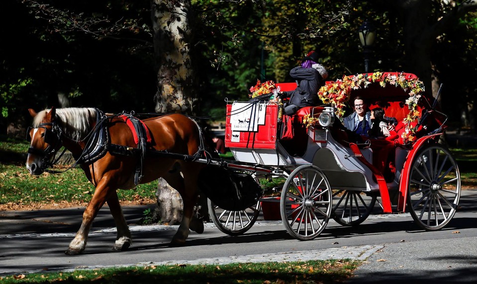 Koniec legendárnej atrakcie v New Yorku? Mesto schválilo zákaz konských povozov