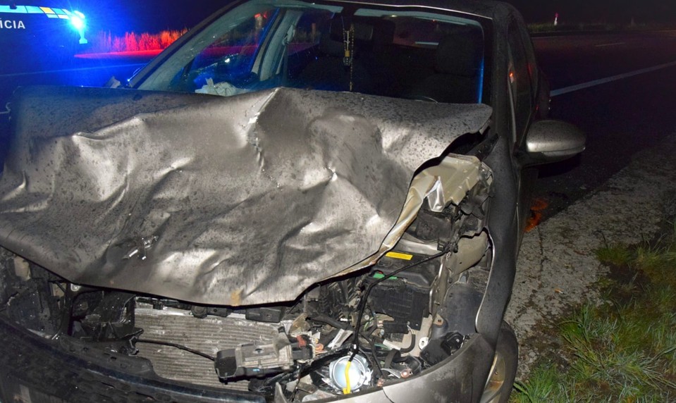 Opitý vodič zrazil lesnú zver. Za volant si nemal sadnúť ešte niekoľko rokov