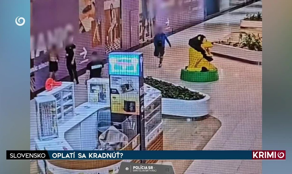 OPLATÍ SA KRADNÚŤ?