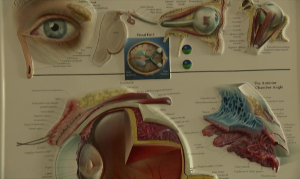7 dôvodov podráždenia oka: Ako si vtedy pomôcť?
