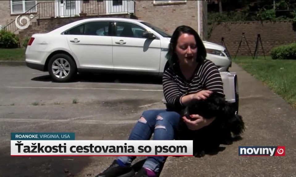 Ťažkosti cestovania so psom