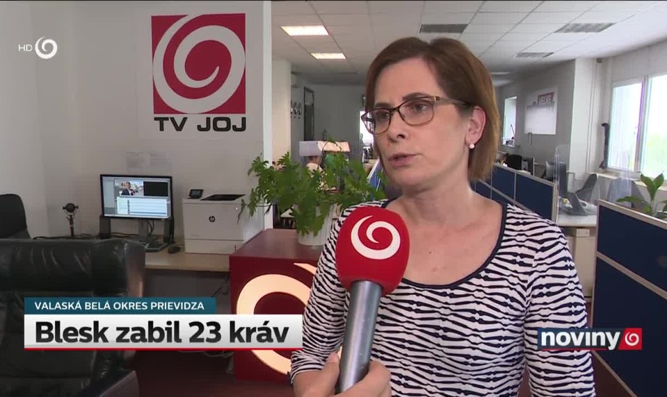 Blesk zabil 23 kráv