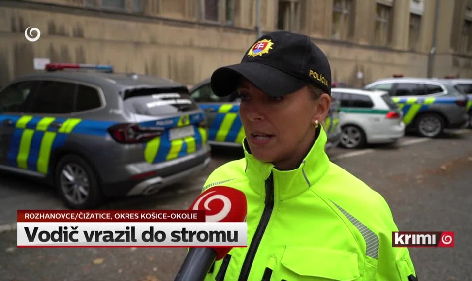 Vodič vrazil do stromu