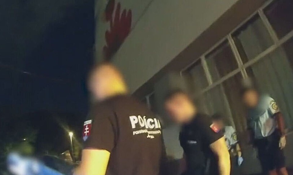 Pred očami policajtov napadol partnerku. Ťahal ju za vlasy a udieral do tváre