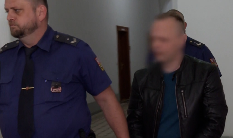 Tvrdil, že si vymyslela tehotenstvo a nútila ho k sexu. Súd ho napriek tomu uznal vinným z vraždy