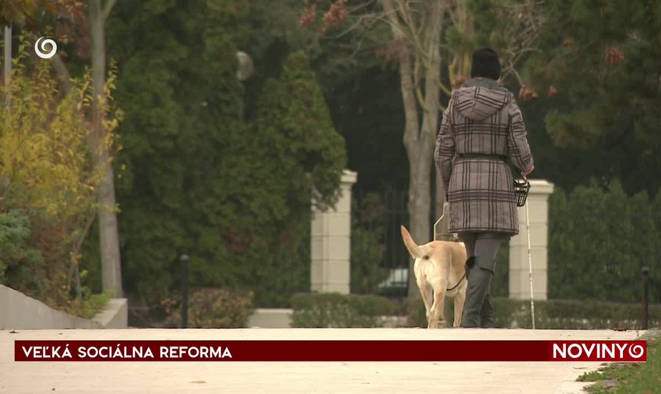 VEĽKÁ SOCIÁLNA REFORM