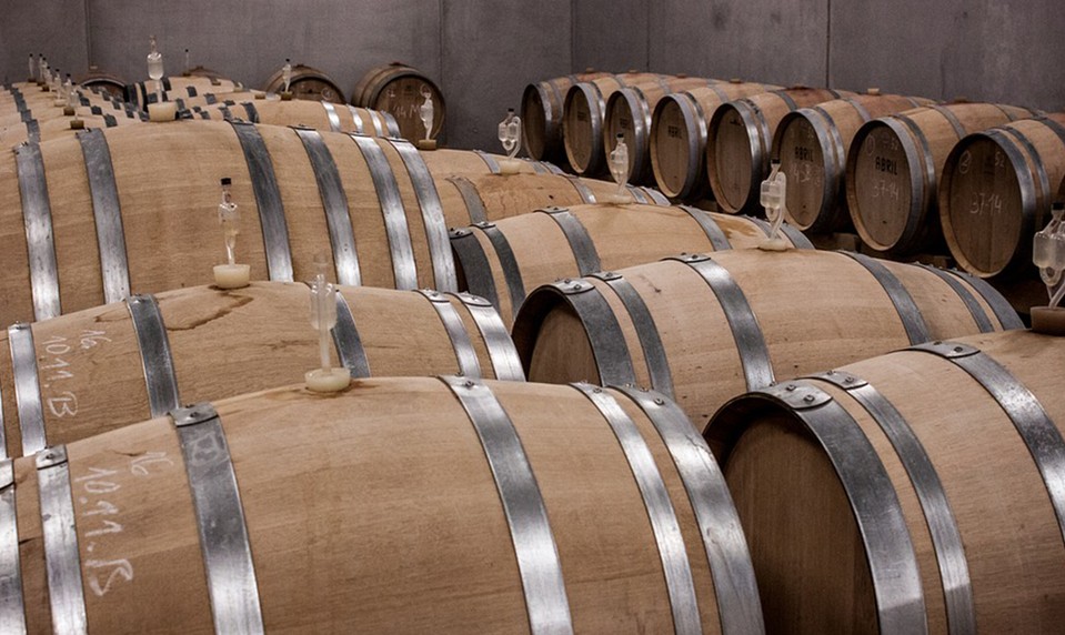 Aj víno podlieha móde.  Slovensko pozná to najlepšie vinárstvo pre rok 2019