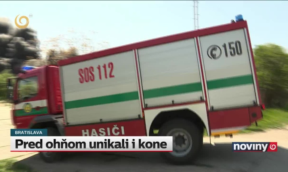 Pred ohňom unikali i kone