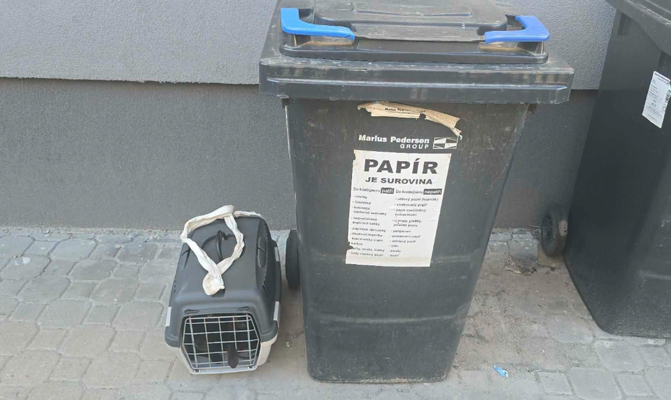 Tri mačiatka v prepravke nechali v 34 stupňových horúčavách pri kontajneroch