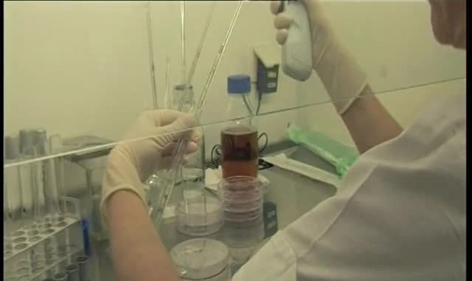 Silná alergia už nemusí ohrozovať váš život: Záchranou je imunoterapia