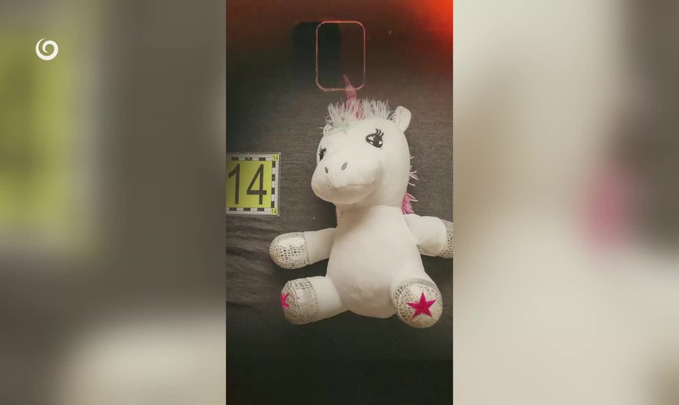 Prípad zneužívania nevlastnej dcéry (3) pokračuje. Obvinená je už aj družka páchateľa