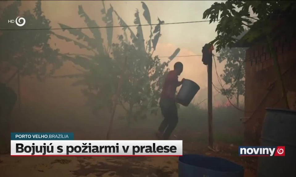 Bojujú s požiarmi v pralese