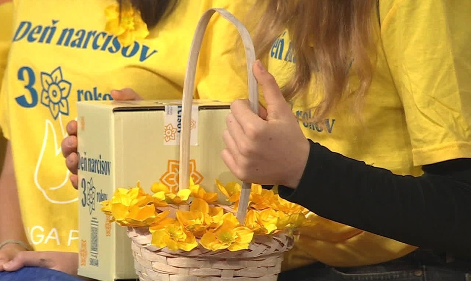 Rozhovory 24: 30. ročník Dňa narcisov