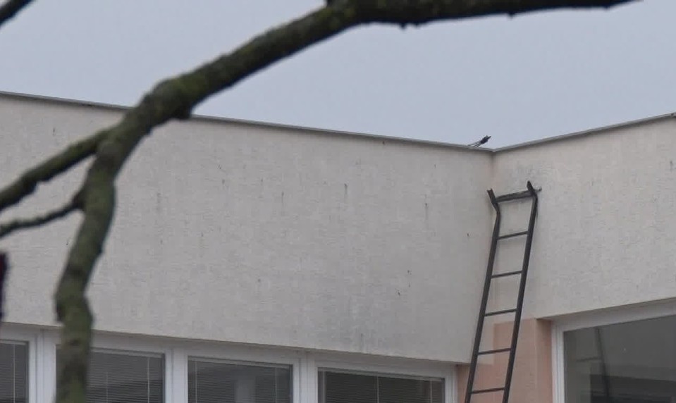 Prípad tragického úmrtia školáka v Parchovanoch mieri na Generálnu prokuratúru