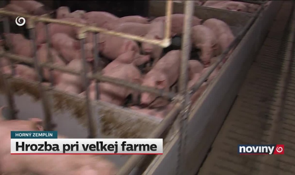 Hrozba pri veľkej farme