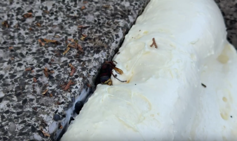 Senior išiel upratať hrob, domov sa už nevrátil. Napadli ho sršne