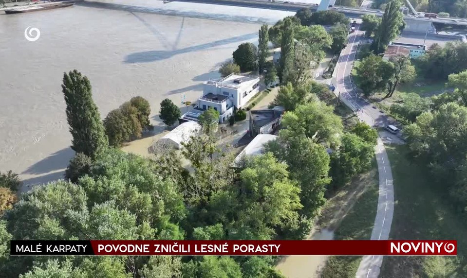 POVODNE ZNIČILI LESNÉ PORASTY