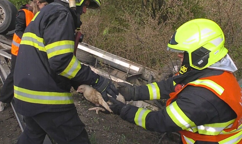 Kamión s tisíckami kusov hydiny sa prevrátil pri Topoľovke. Boxy rozmetalo po okolí