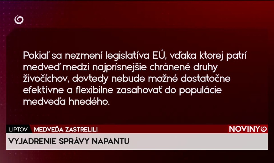 MEDVEĎA ZASTRELILI