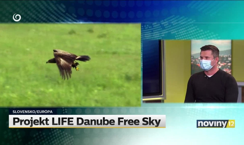 Projekt LIFE Danube Free Sky