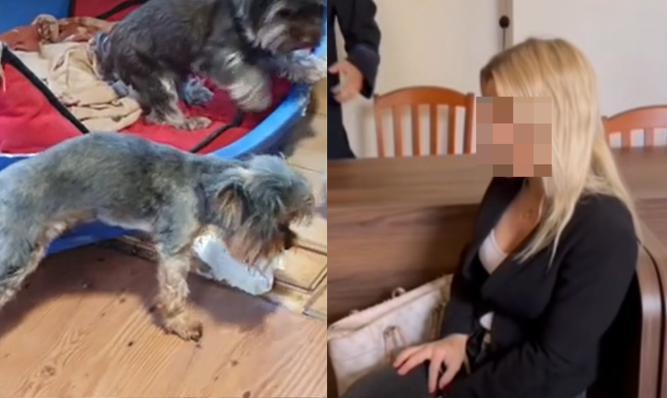 Psy hladovali a umierali v krutých podmienkach. Chovateľku Veru Santos poslali do väzenia