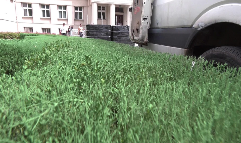 Namiesto výmeny prišla farba. Živý plot pred Maticou slovenskou sa stal atrakciou mesta