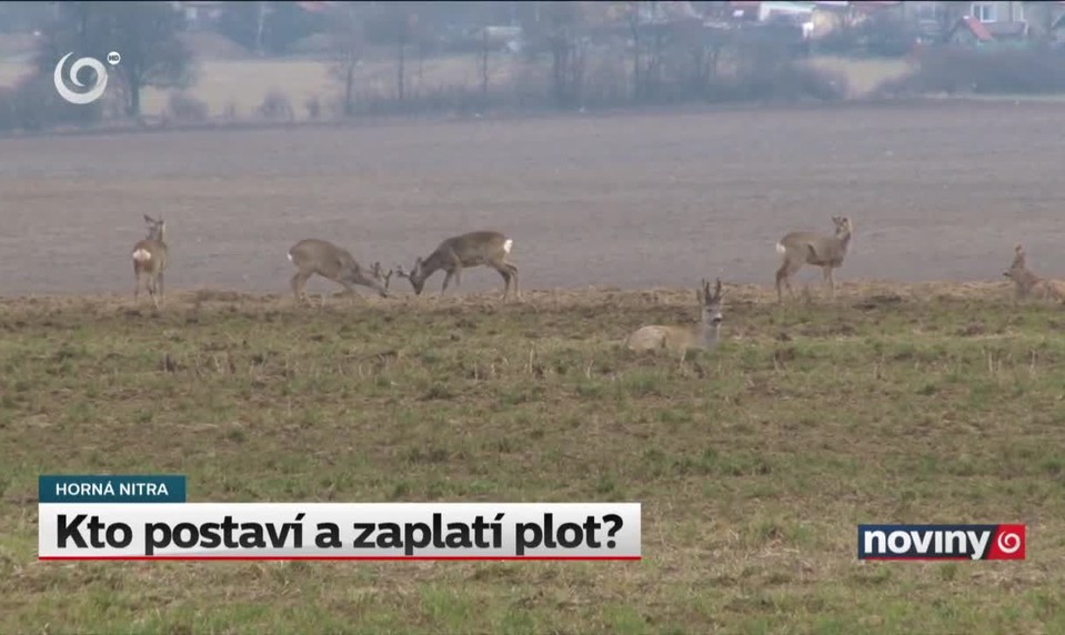 Kto postaví a zaplatí plot?