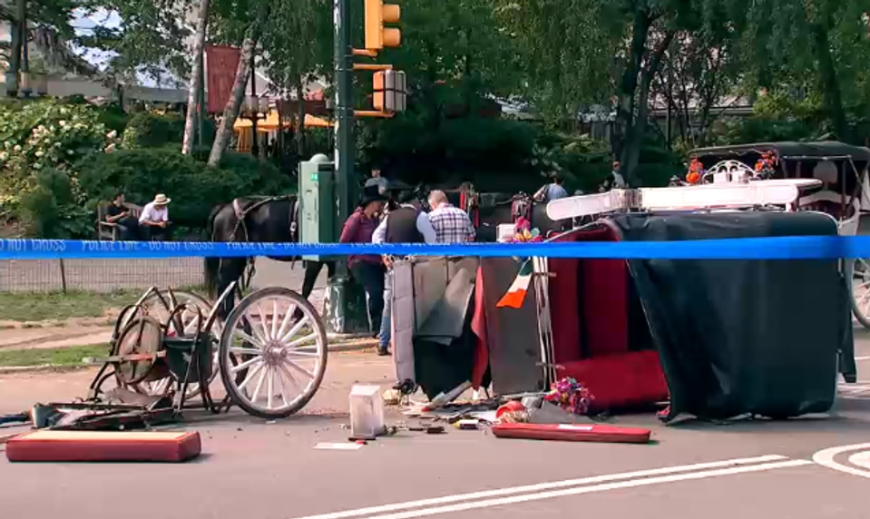 V newyorskom Central Parku zahynul mladík po páde z konského povozu