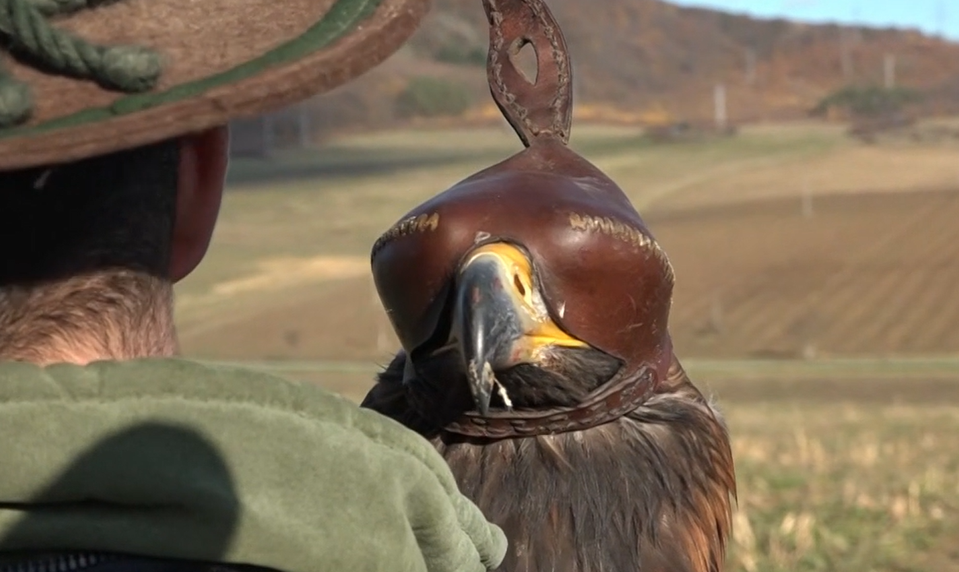 Poľovníci sa vrátili k tradícii: Namiesto pušiek využívajú orly a sokoly