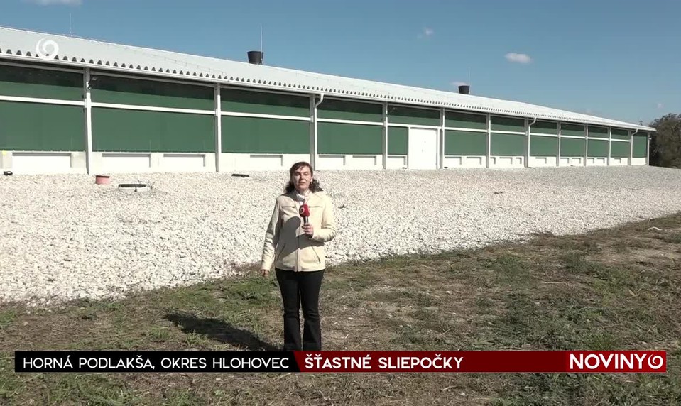 ŠŤASTNÉ SLIEPOČKY