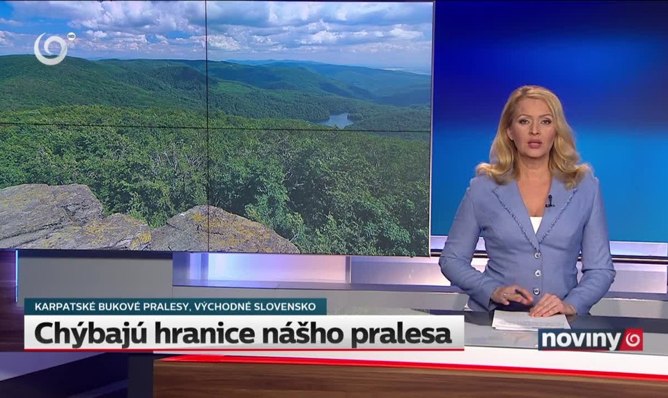 Trest pre primátora