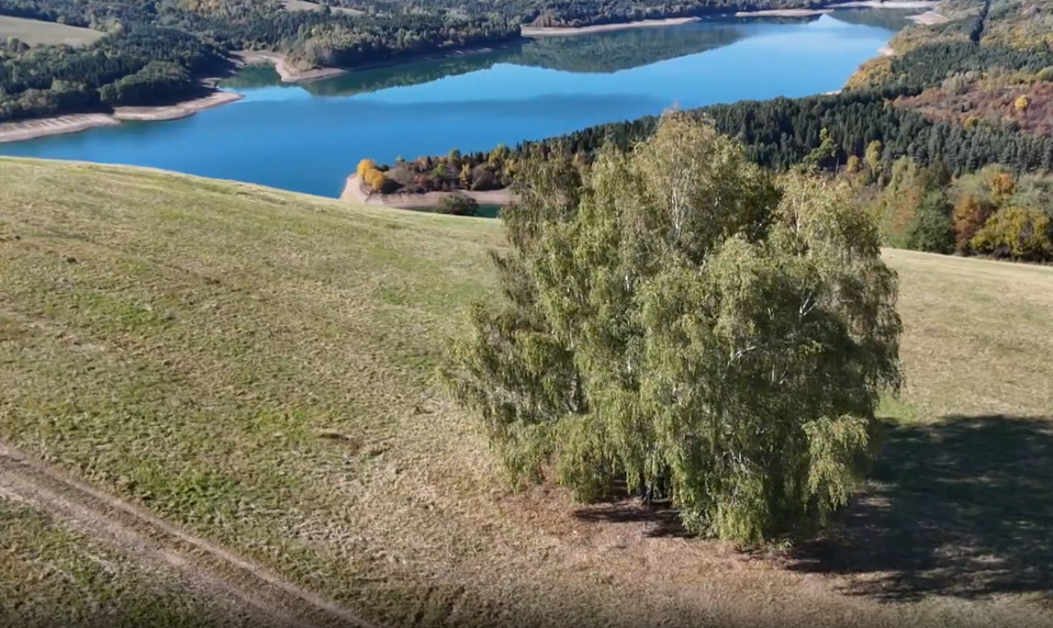 Ignorujú zákon, ničia vzácne biotopy. Rezervácia Gazdoraň čelí nájazdom bezohľadných motorkárov