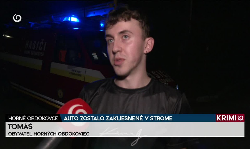 AUTO ZOSTALO ZAKLIESNENÉ V STROME