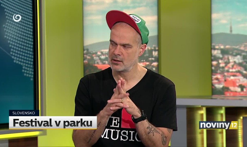 Festival v parku