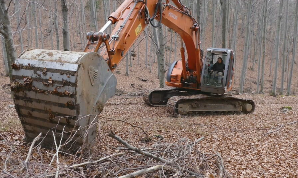 Lesné vodozádržné opatrenia dokážu absorbovať milióny litrov vody a znižujú riziko záplav