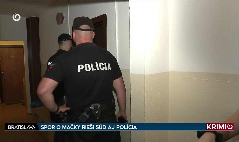 SPOR O MAČKY RIEŠI SÚD AJ POLÍCIA