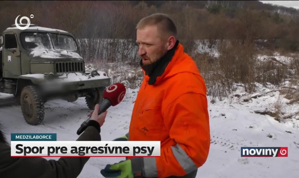 Spor pre agresívne psy