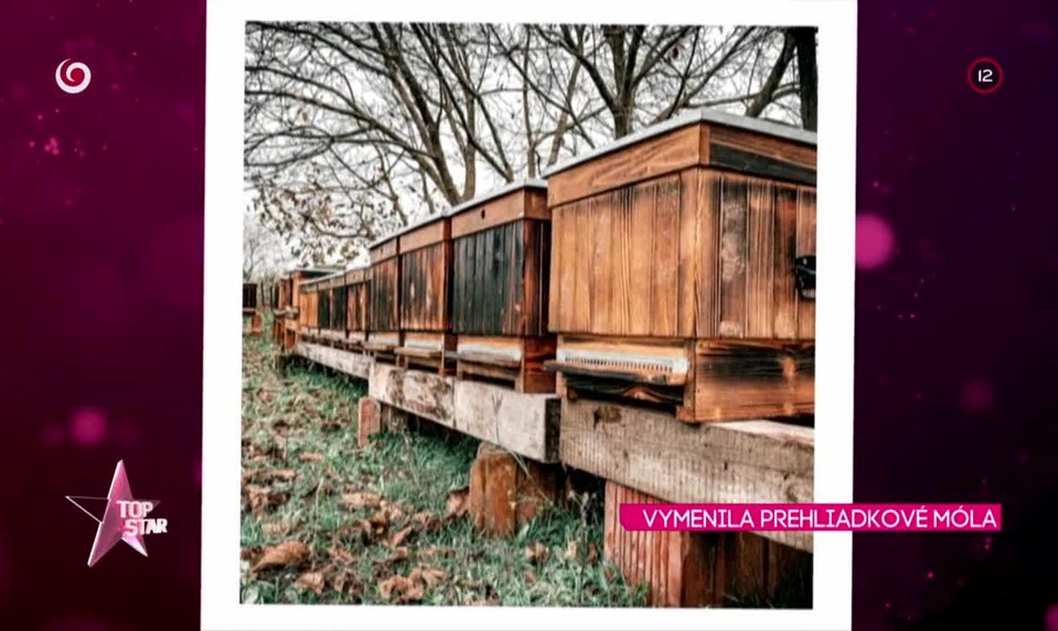 VYMENILA PREHLIADKOVÉ MÓLA