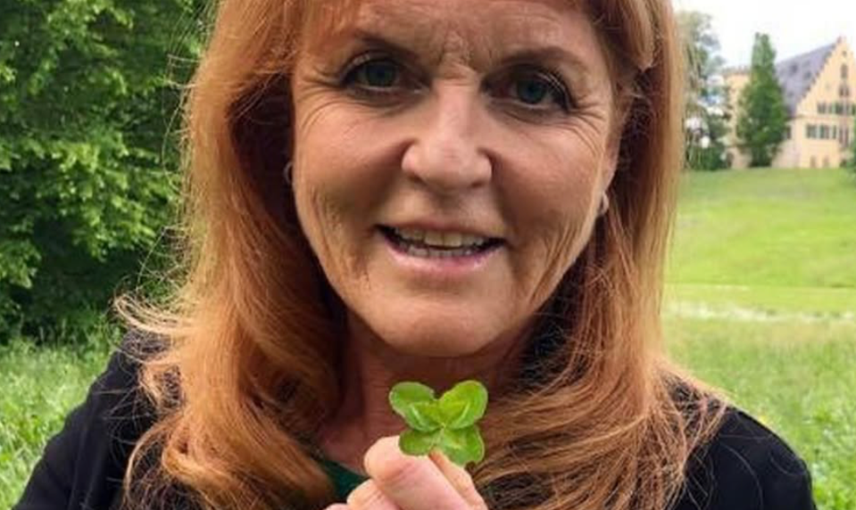 Slučka sa sťahuje aj okolo exmanželky princa Andrewa: písala si s Epsteinom a náhle zmizla!