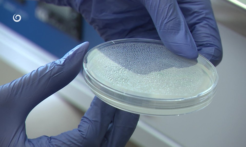 Kde sa nakazil Tomáško? Jeho rodina je už desať mesiacov bez odpovedí