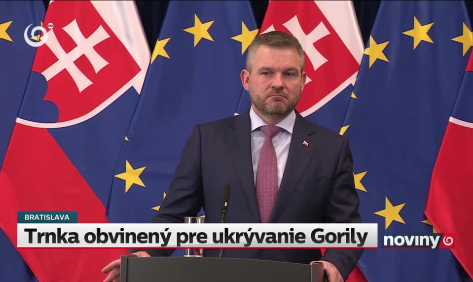 Trnka obvinený pre ukrývanie Gorily