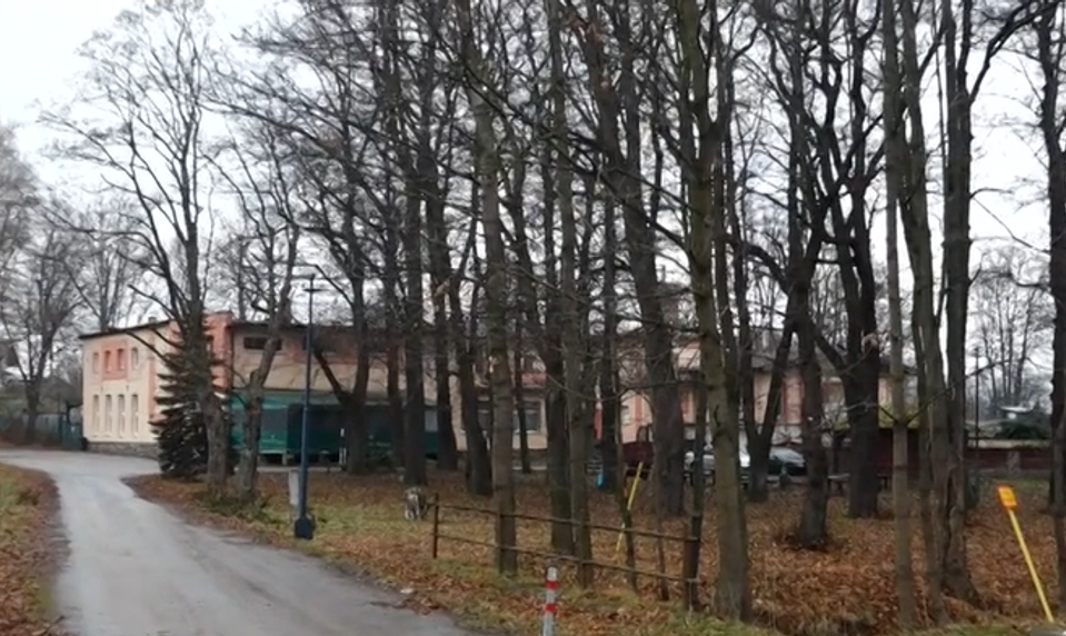 Diana po útoku skončila v kóme a podľahla zraneniam. V prípade padlo obvinenie