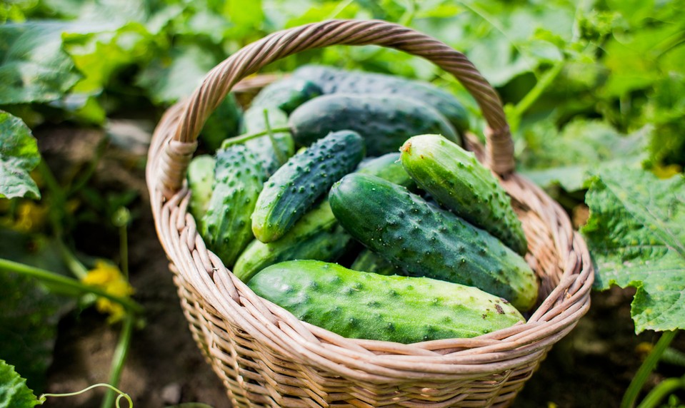 Trápia vás často svalové kŕče? Týchto 13 potravín vám rýchlo pomôže