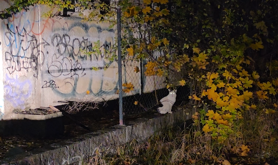 Polícia uzavrela okolie bývalého depa v Trnave. Z miesta hlásili streľbu